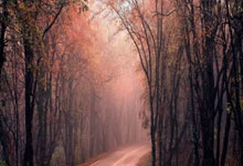 亚冬会|从阿拉木图到哈尔滨,他们在新春祝福中启程2025-02-05.