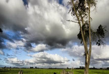 南宫体育：蹬三轮车行走600多公里，山东铁杆球迷大哥赴杭州为国足加油.