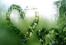 英格兰足总杯半决赛对阵：水晶宫vs维拉，森林vs曼城.